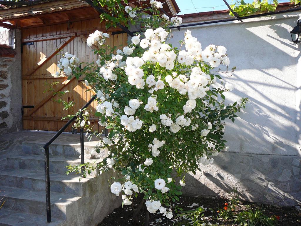 Guesthouse Argacho Stob Екстер'єр фото